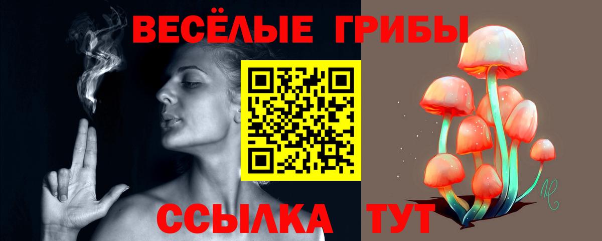 Псилоцибиновые грибы Psilocybine cubensis  Галлюциногенные грибы Magic Shrooms  Вход с VPN  Глазов 
